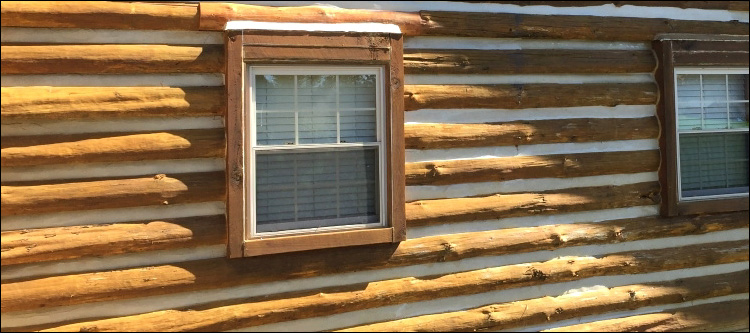 Log Home Whole Log Replacement  Bibb County, Georgia