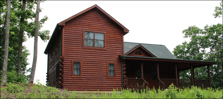 Professional Log Home Borate Application  Bibb County, Georgia